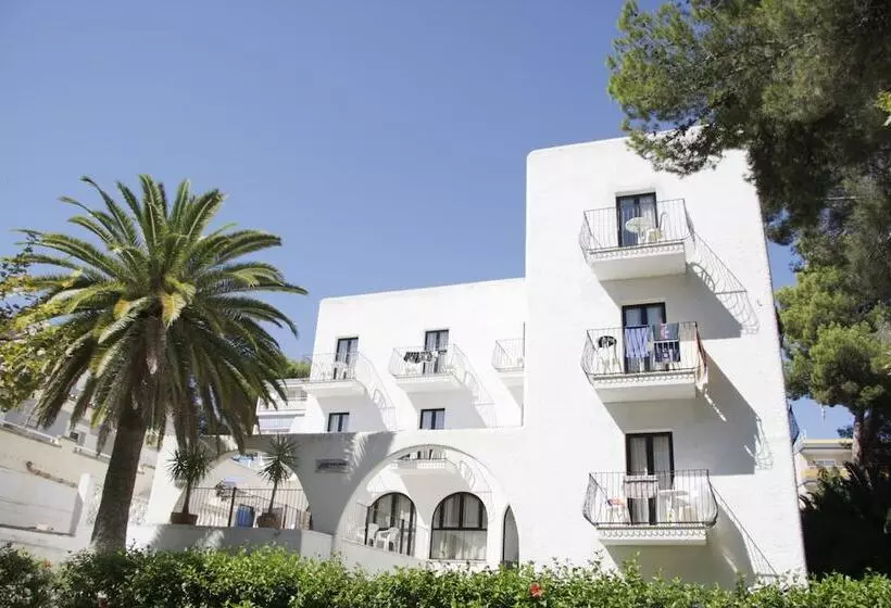 هتل Morlans Garden