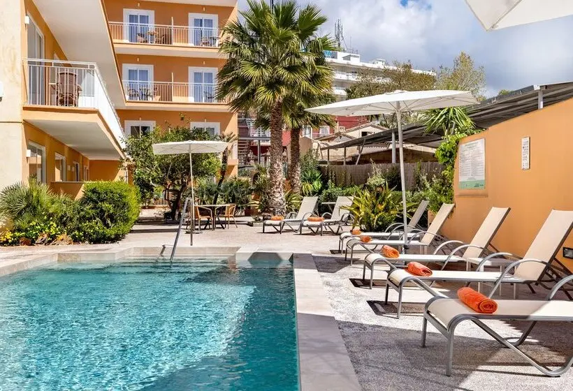 هتل Morlans Garden