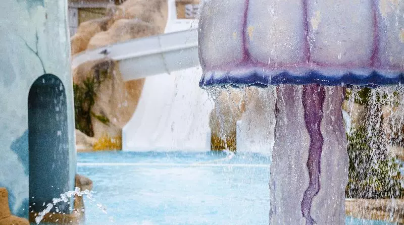 酒店 Fergus Club Pineda Splash