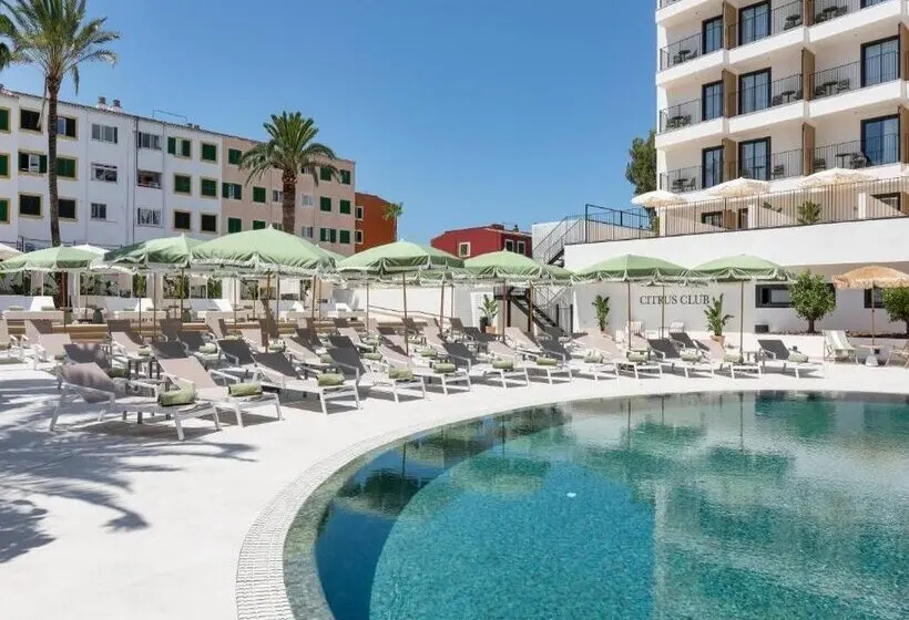 Tangerine by Honne Hotels - Adults Only