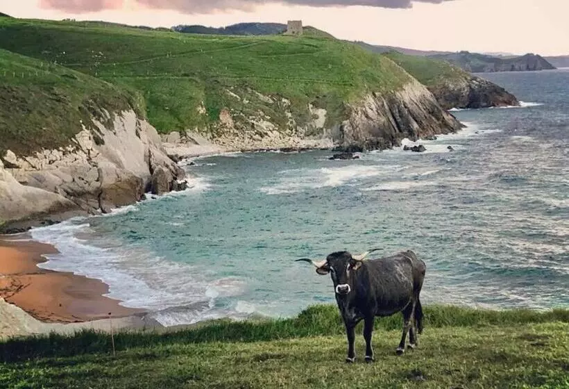 Hotel El Castillo De Los Locos