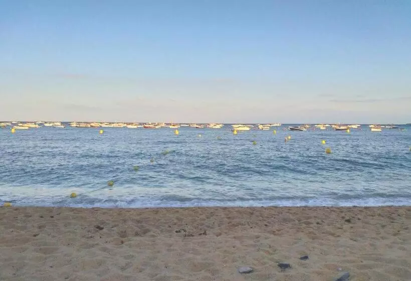 בית מלון כפרי Mediterrani