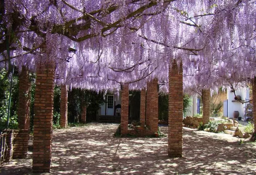 فندق Sierra Madrona