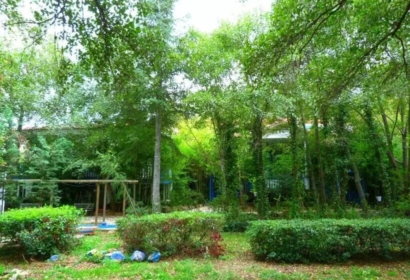 فندق Sierra Madrona