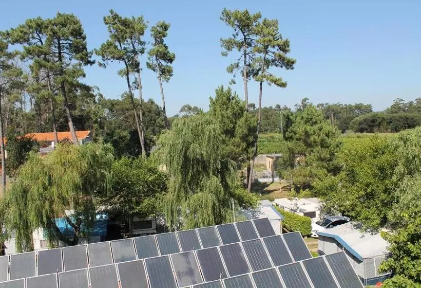 Отель Arco Iris