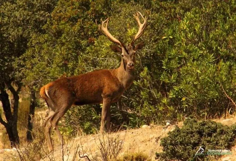 Отель El Mesón De Despeñaperros