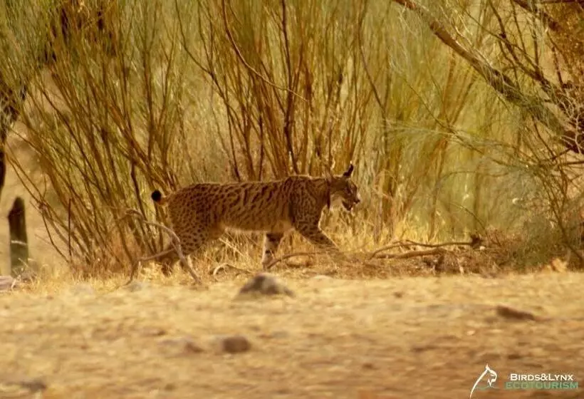 Отель El Mesón De Despeñaperros