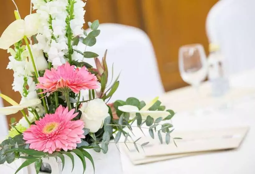 فندق Oca Ipanema