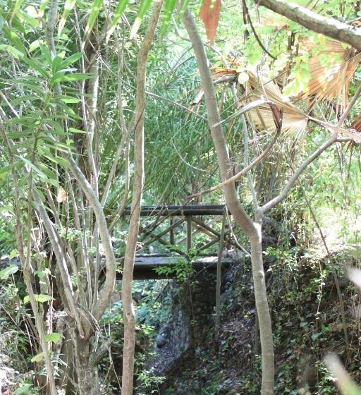 فندق Del Balneario