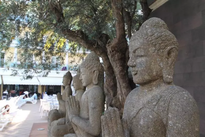 فندق La Palmera & Spa