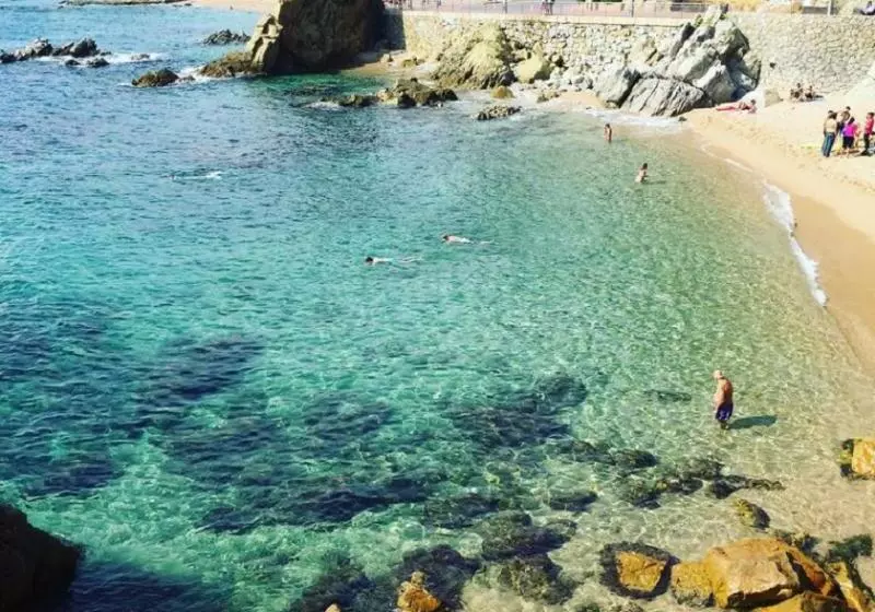 فندق La Palmera & Spa