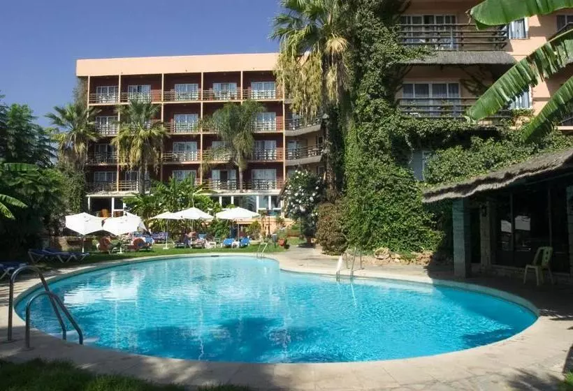 ホテル Ms Tropicana