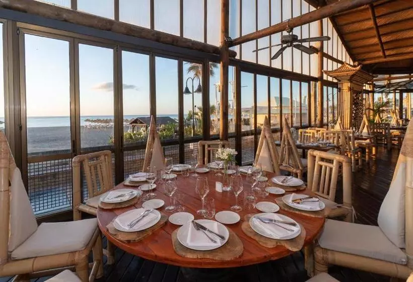 ホテル Ms Tropicana