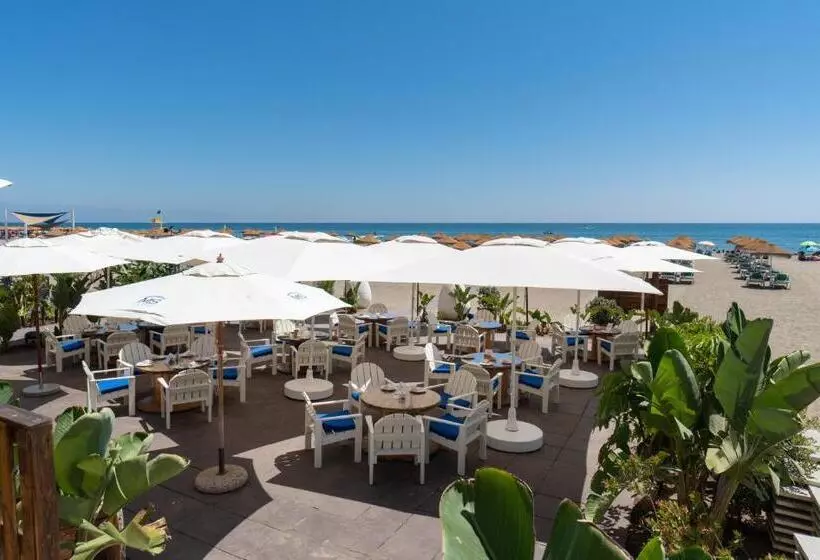 ホテル Ms Tropicana