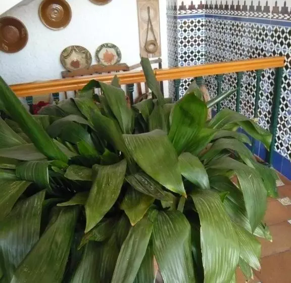 Hotelli Venta Las Delicias