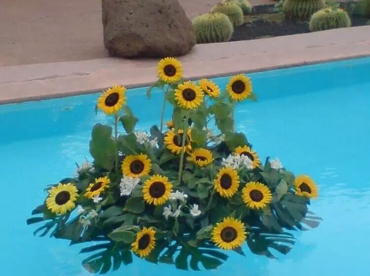 Отель La Hacienda De Anzo