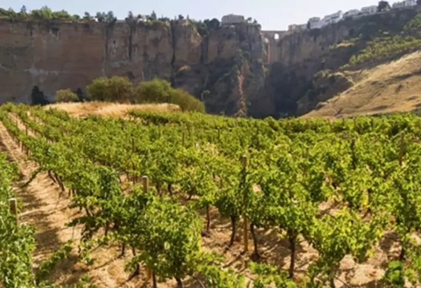 בית מלון כפרי Ronda Valley