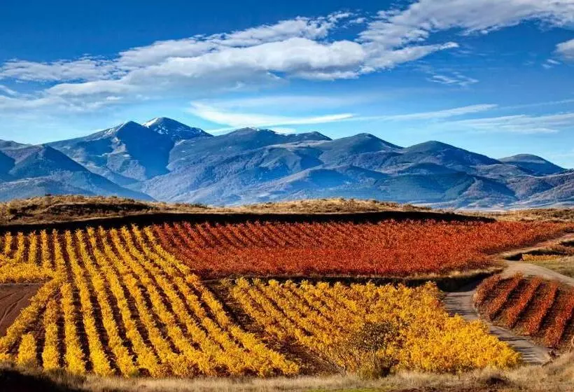 ホテル Hostal Hispano