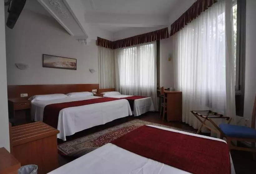 فندق Pension Alameda