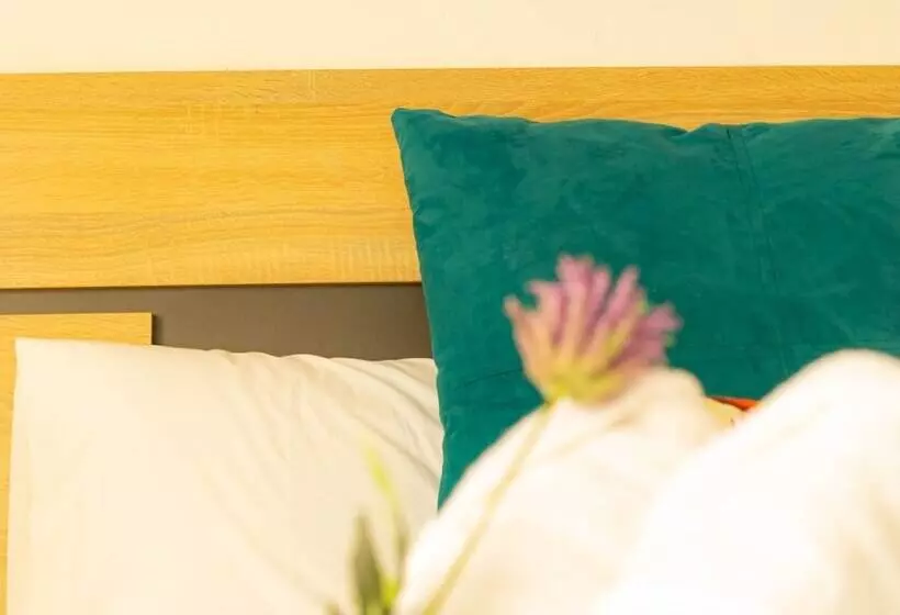 여관 Ventura Premium