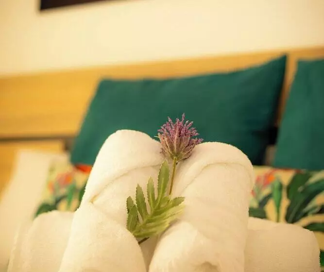 여관 Ventura Premium