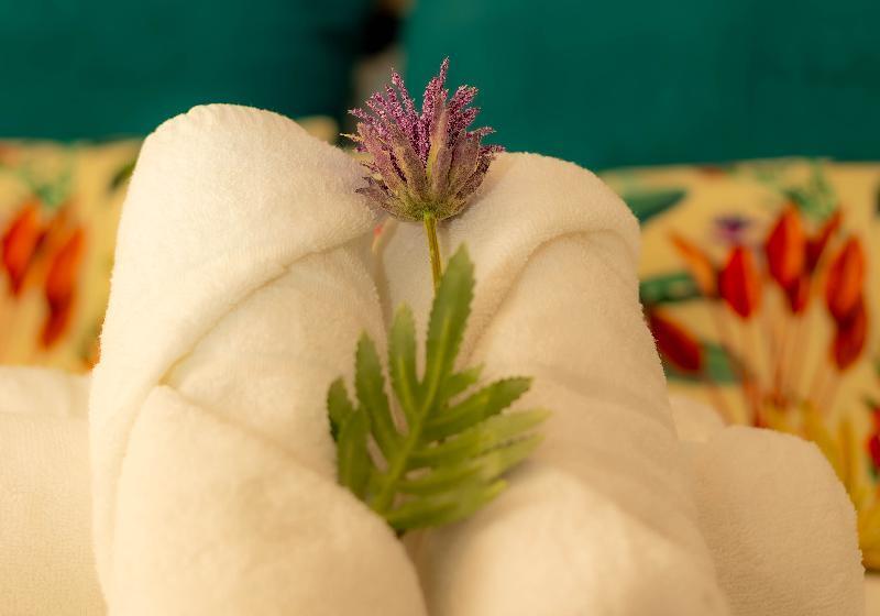 مسافرخانه Ventura Premium