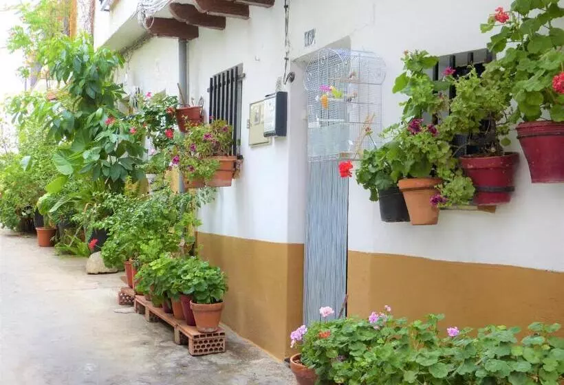 Hotel Hostal Candeleda