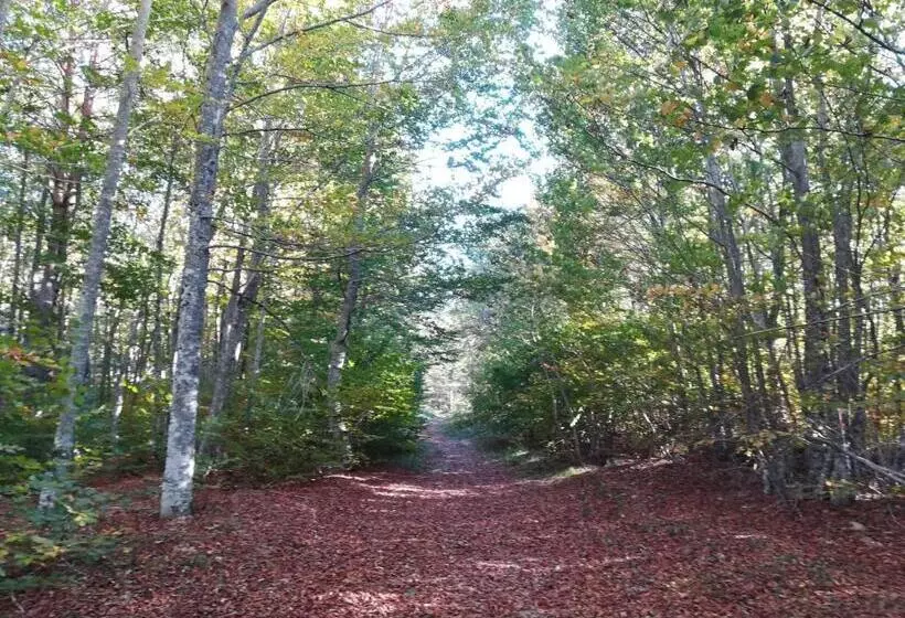 호텔 Hostal Orialde