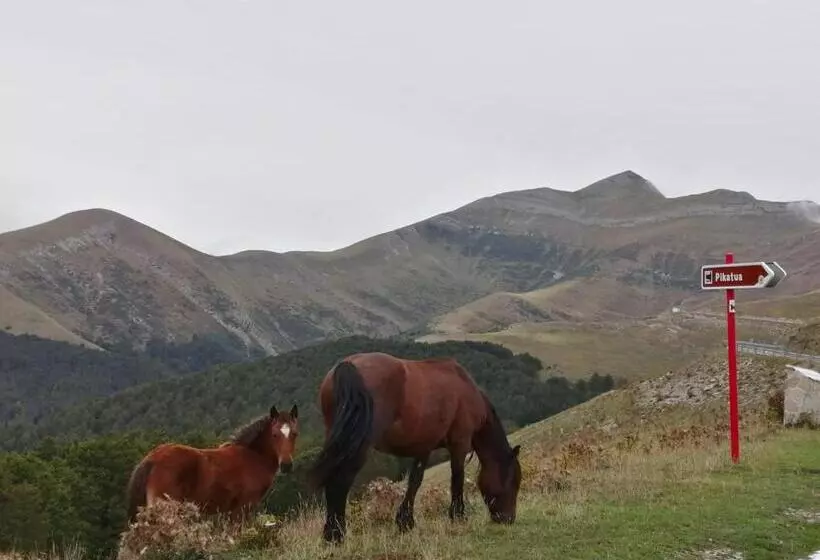 호텔 Hostal Orialde