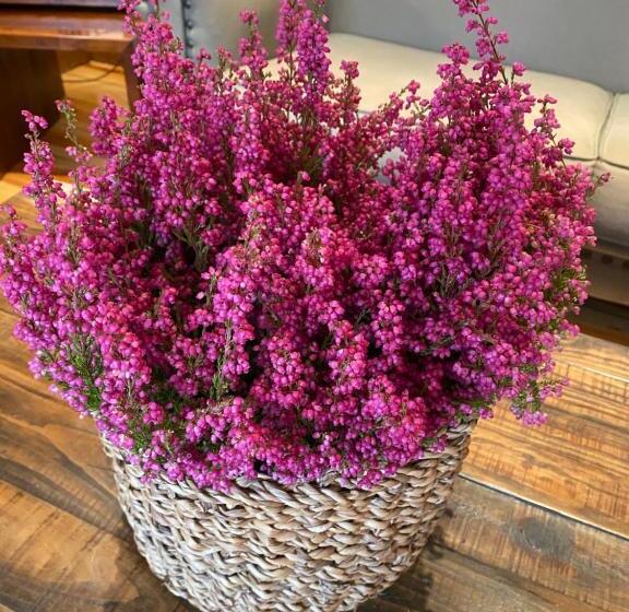 호텔 Rural Spa & Wellness Hacienda Los Robles