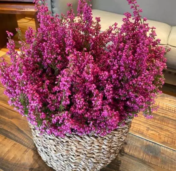 Hotelli Rural Spa & Wellness Hacienda Los Robles