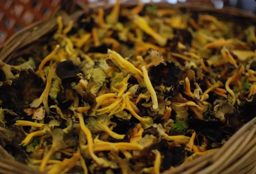 ホテル Hostal Delgado