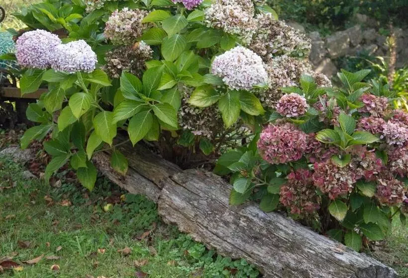 Отель Posada De La Abadia Adults Only