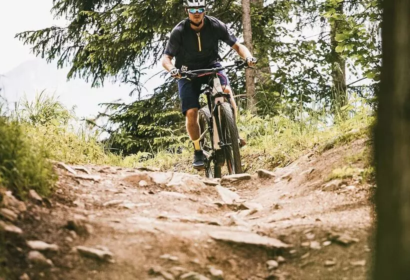 ホテル Berg Hinterstoder