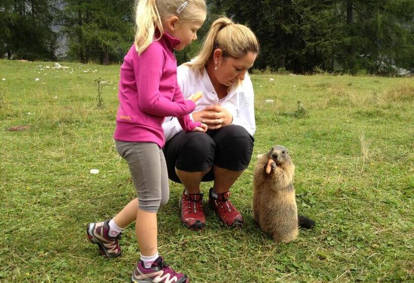 בית מלון כפרי Bischofsmütze