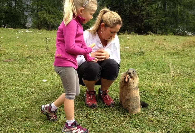 בית מלון כפרי Bischofsmütze