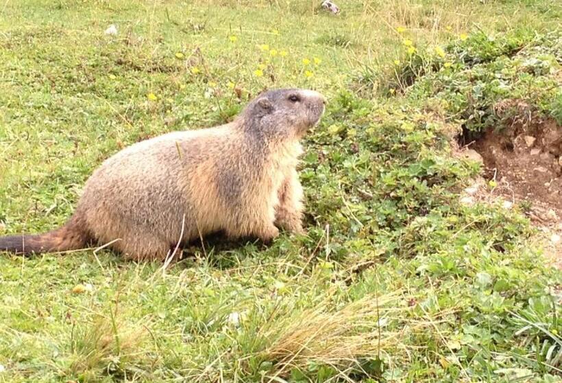 בית מלון כפרי Bischofsmütze
