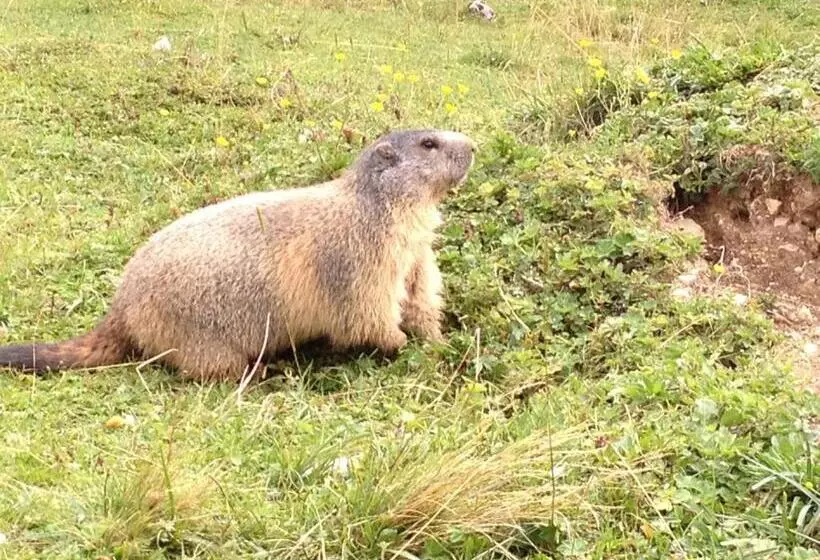 בית מלון כפרי Bischofsmütze