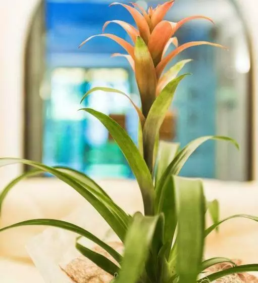 Отель Carinthia