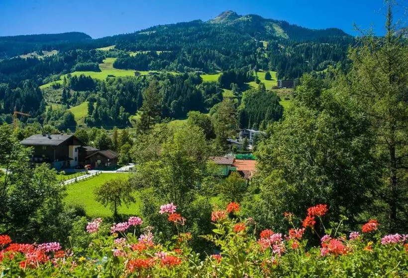 Отель Carinthia