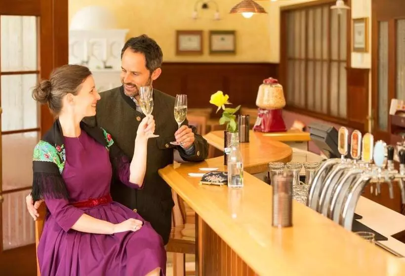 酒店 Erzherzog Rainer