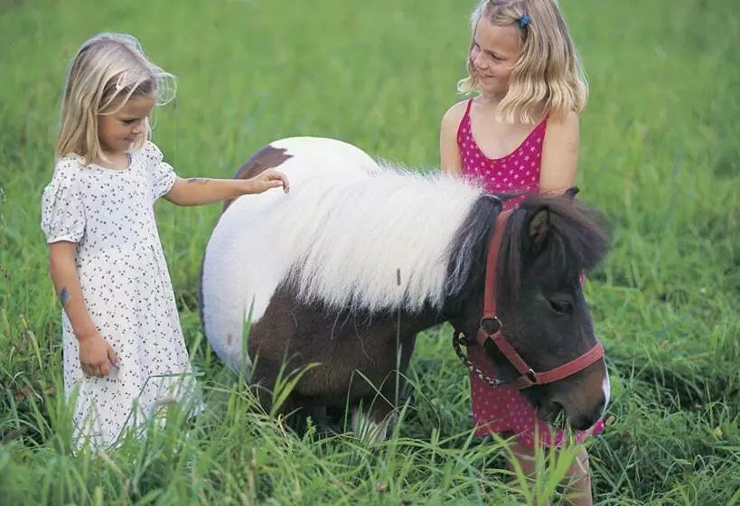 Seehotel Princes