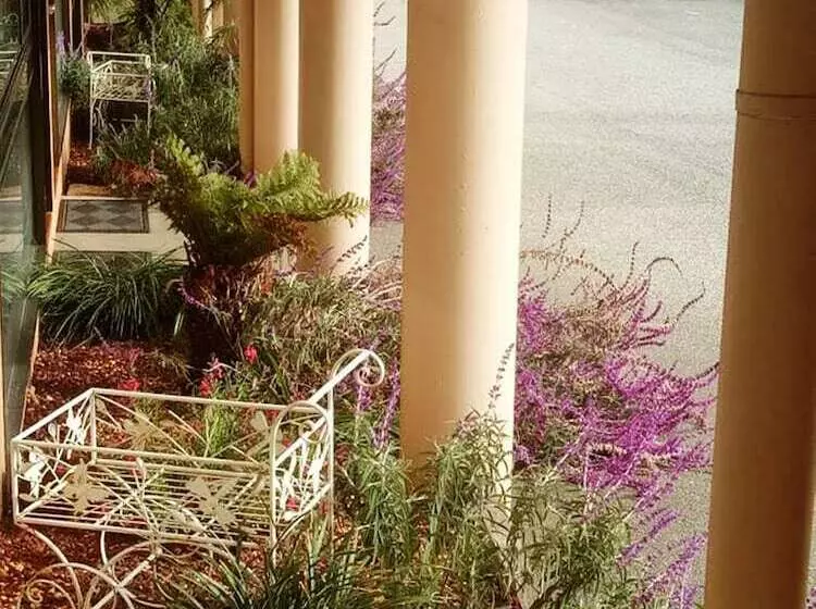 هتل Winsor Park Motor Inn