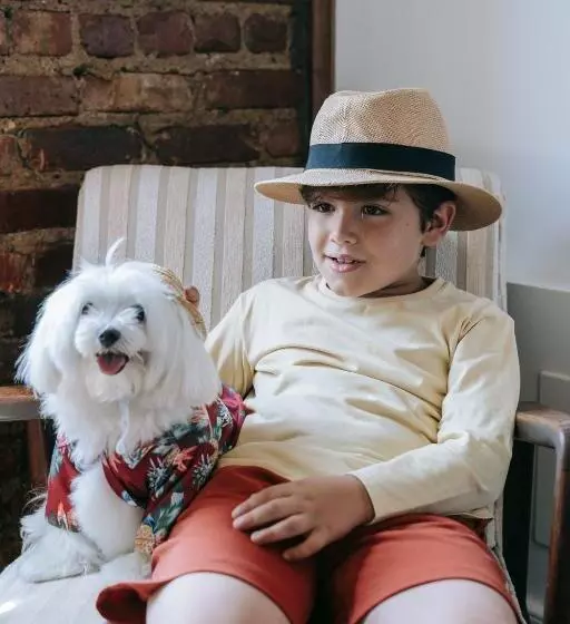 ホテル Econo Lodge Lilydale