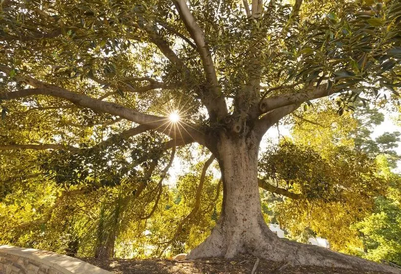 בית מלון כפרי Julie Anna, Bendigo