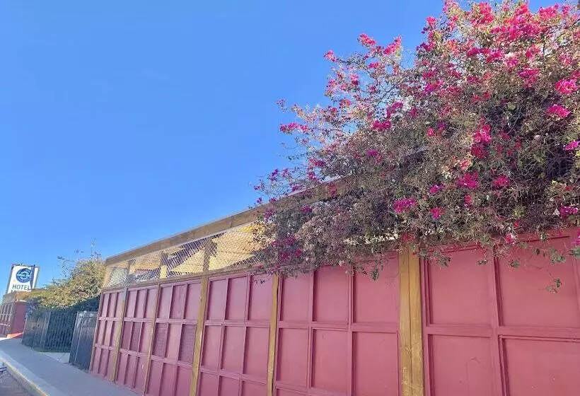 Opal Inn Hotel, Motel, Caravan Park