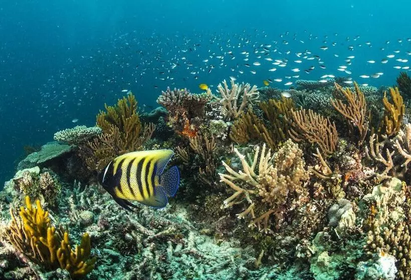 Курорт Heron Island