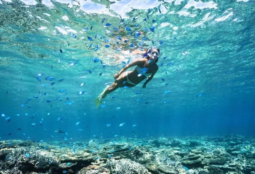 Курорт Heron Island