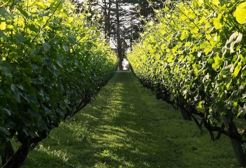 호텔 Lancemore Lindenderry Red Hill