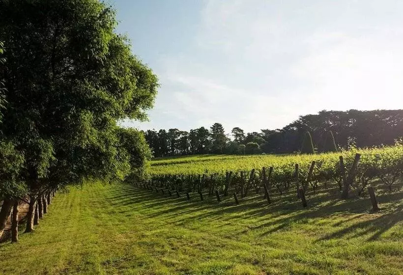 호텔 Lancemore Lindenderry Red Hill